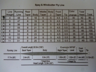 A&M Spey/Windcutter WF4F   Yellow/Orange